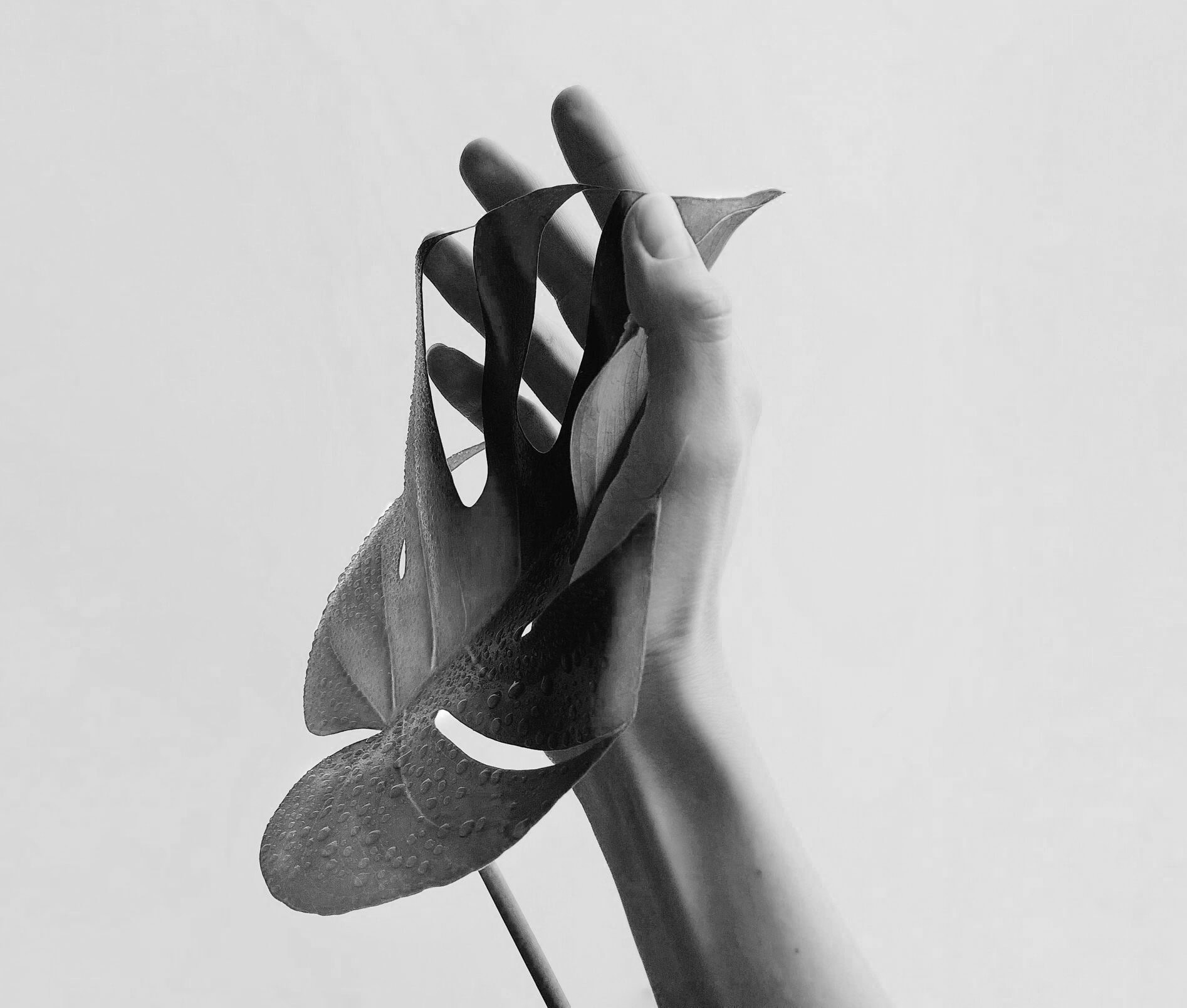 hand Selbstregulation